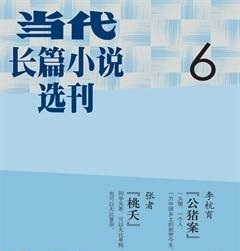 当代·长篇小说2015年6期