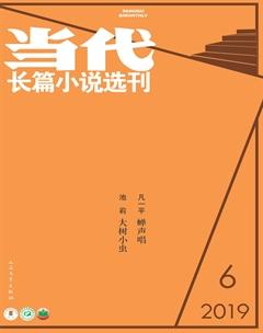 当代·长篇小说2019年6期