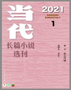 当代·长篇小说2021年1期