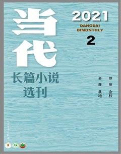 当代·长篇小说2021年2期