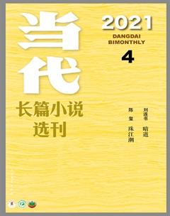 当代·长篇小说2021年4期