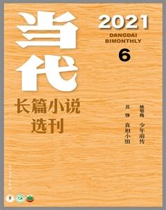 当代·长篇小说2021年6期