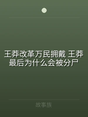 王莽改革万民拥戴 王莽最后为什么会被分尸