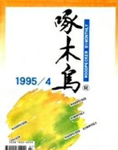 啄木鸟1995年4期